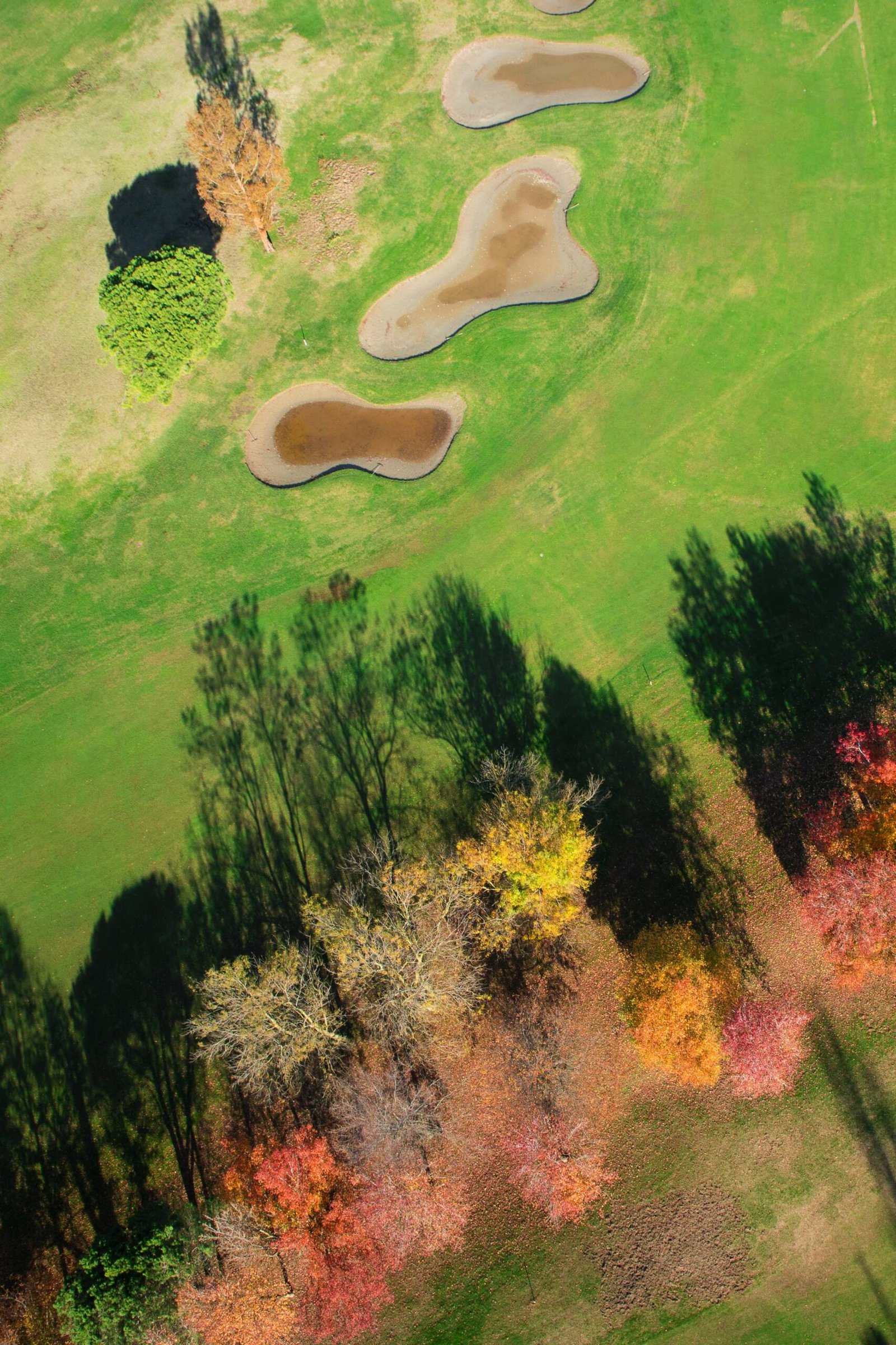 golf (7)-min